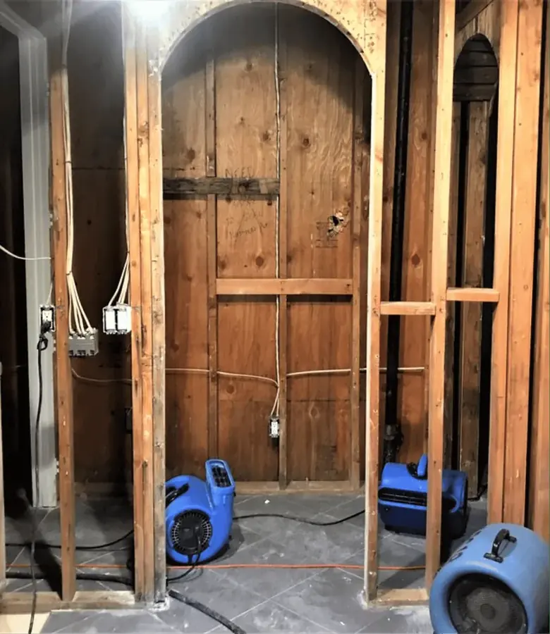 A Bronx apartment restored after water damage